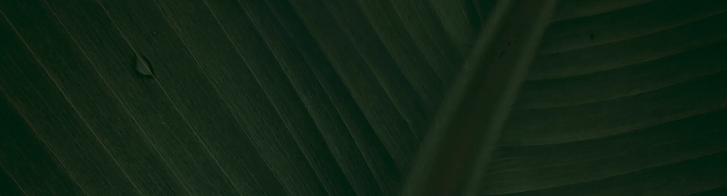 Vaj Ulliri Ekstra i Virgjër